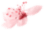 flower_3.png (Demo)