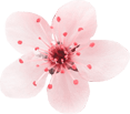 flower_4.png (Demo)