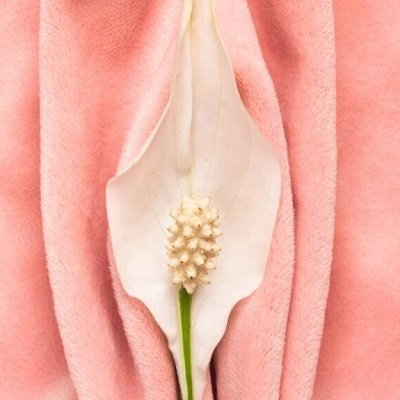 Bleeding is Always Guaranteed After Hymenoplasty
